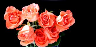 jakie kwiaty na urodziny