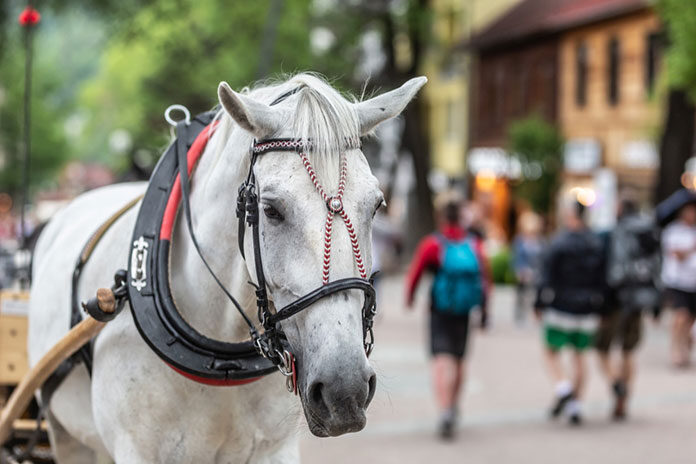 Zakopane