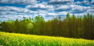 Gdzie pojechać z dzieckiem na jeden dzień Podkarpacie?