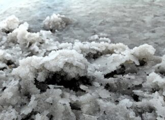 Co najbardziej wypłukuje magnez z organizmu?