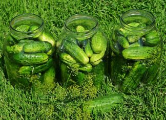 Co najlepiej kisić?