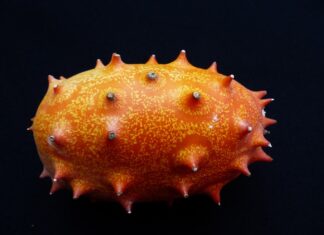 Na co szkodzi ogórek kiszony?