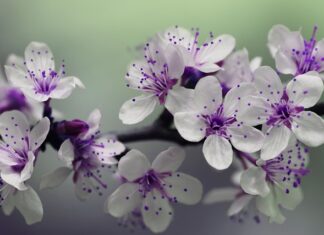 Co ile daje się słupki ogrodzeniowe?