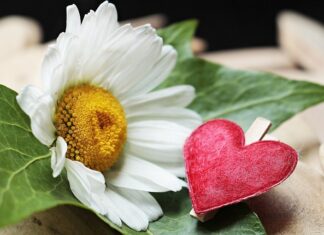 Jakie zaciski do lin stalowych?