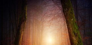 Jak obliczyć promień gięcia rury?