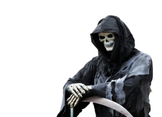 Która kosa Stihl jest najlepsza?