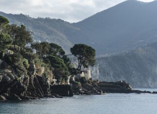 Ile kosztuje słupek do ogrodzenia?