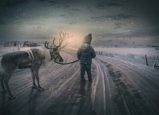 Jak zrobić renifera z gałązek?