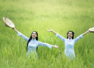 Jaką szerokość bramy i furtki?