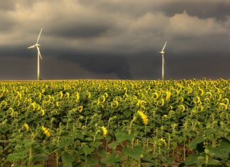 Jaka jest kolejność układania płytek?