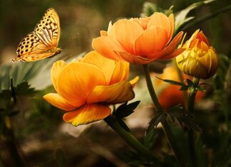 Ile kosztuje mycie ultradźwiękowe?