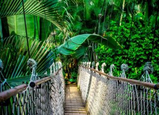 Ile waży metr liny stalowej 12mm?