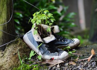 Jak odrodzić osadnika?